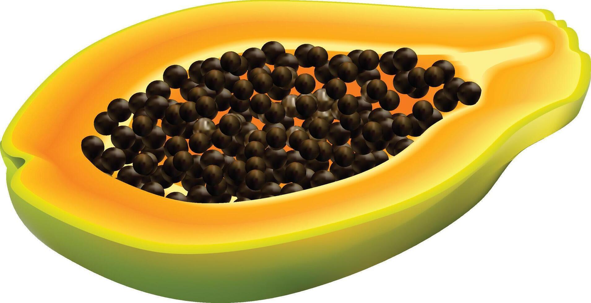 Realistic Fresh papaya half fruit slice vector
