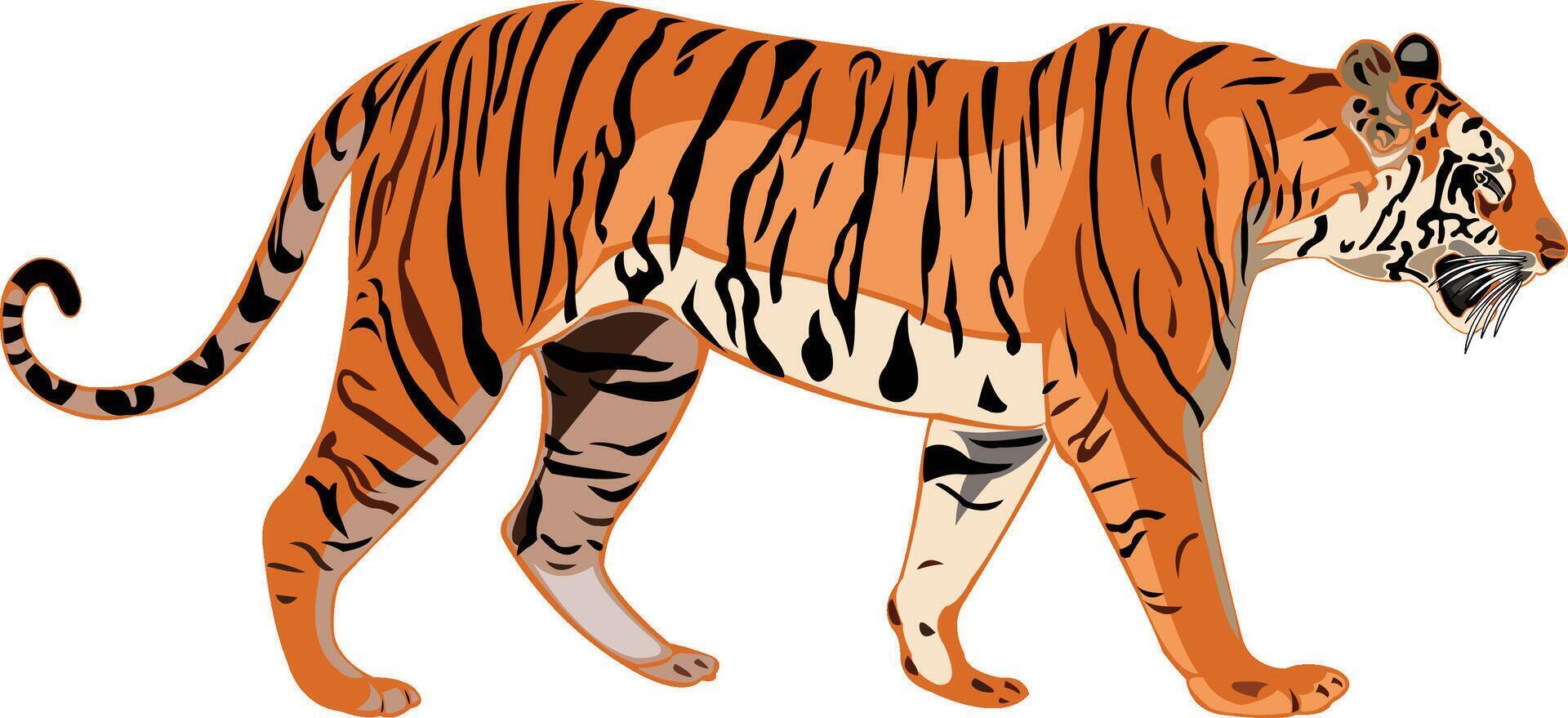 Colorful Bengal Tiger Illustration vector