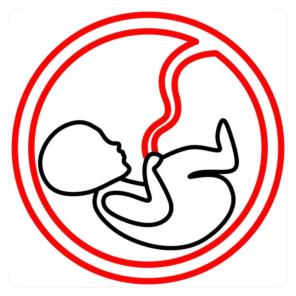 Fetus and pragant icon concept vector