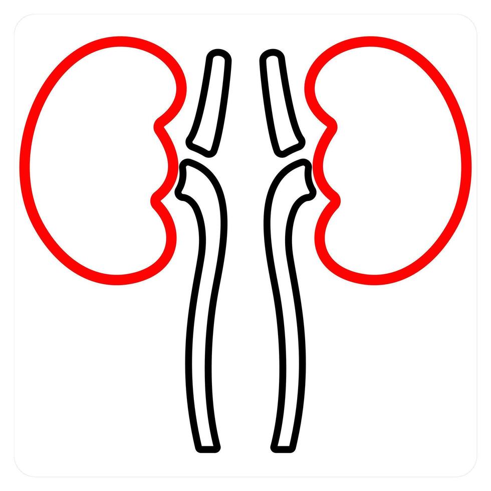 Pulmonology and lungs icon concept vector