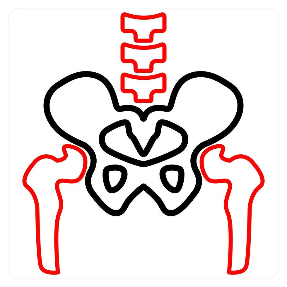 Pelvic Bone and human icon concept vector