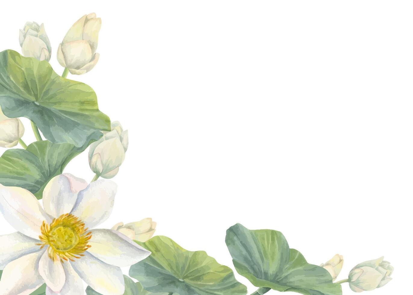 Watercolor blooming white lotus horizontal frame. Asian water lily flowers with buds, leaves realistic illustration for wedding design, birthday greeting card, memorial day. Empty space for text vector