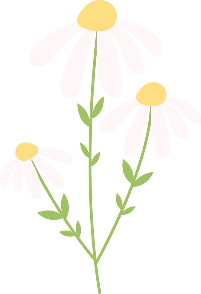 Flower with White Colors vector