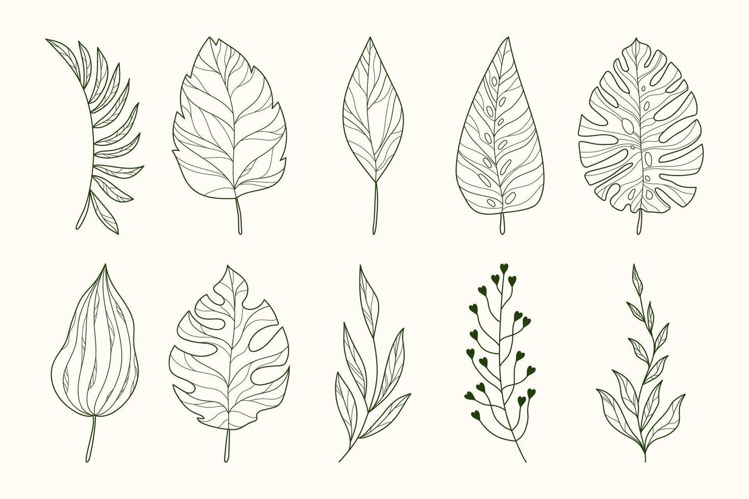 Outline Collection of Tropical Leaf Silhouettes in Hand Drawn Style. Branches of herbs isolated on white background. Botanical plants with leaves. Simple black ink greenery vector