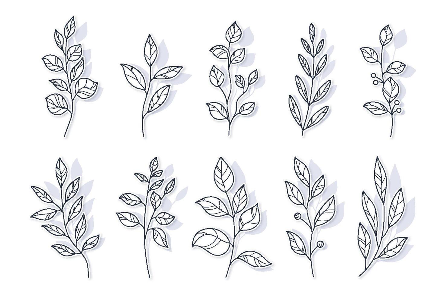 Floral Outline Silhouettes in Hand Drawn Style. Branches of herbs isolated on white background. Botanical plants with leaves. Simple black ink greenery vector