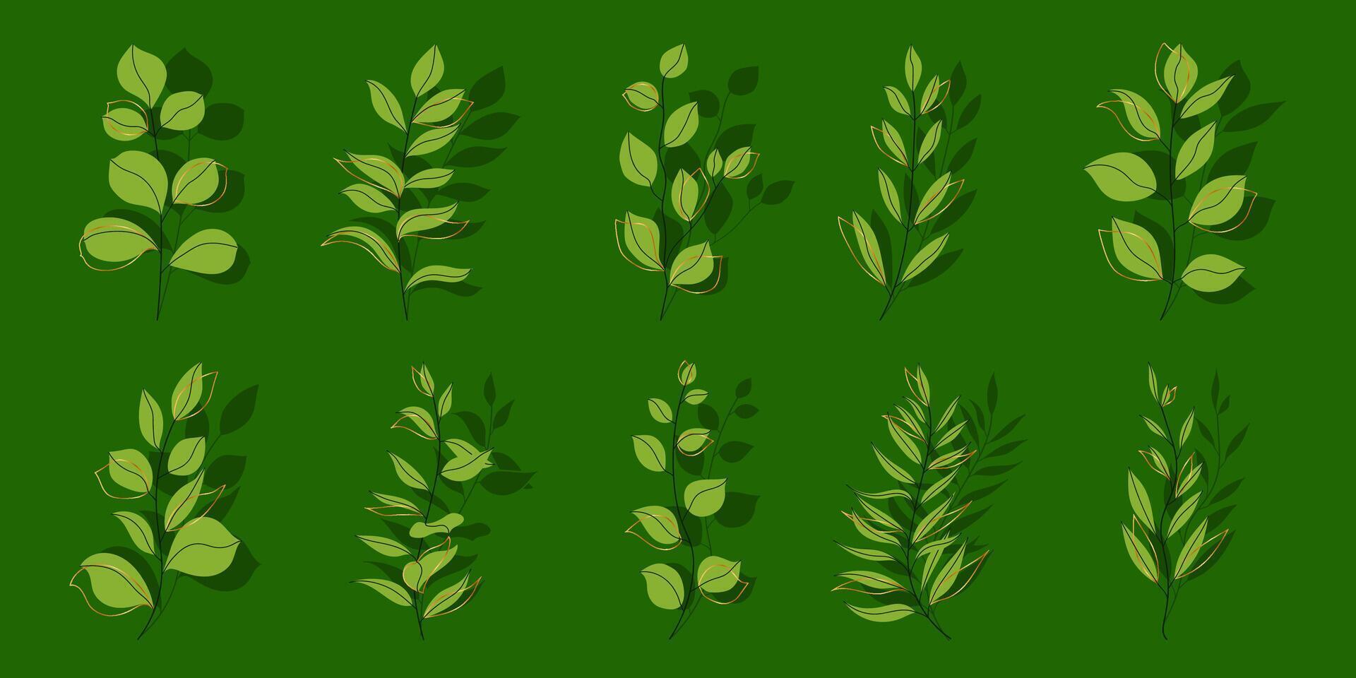 Botanical Floral Branches in Hand Drawn Style with Gold Leaves. vector