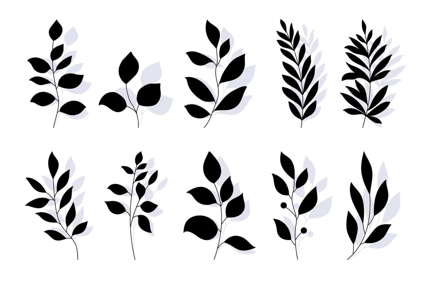 Floral Silhouettes in Hand Drawn Style. Branches of herbs isolated on white background. Botanical plants with leaves. Simple black ink greenery vector