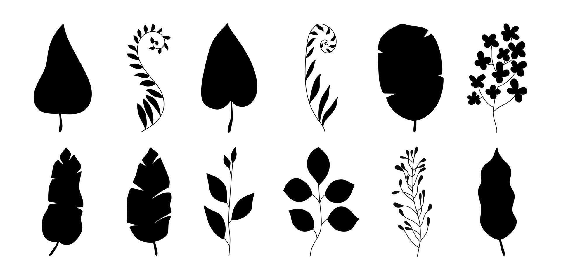 Black Silhouettes of Tropical Leaves and Branches in Hand Drawn Style. Herbs isolated on white background. Botanical plants with leaves. Simple black ink greenery vector