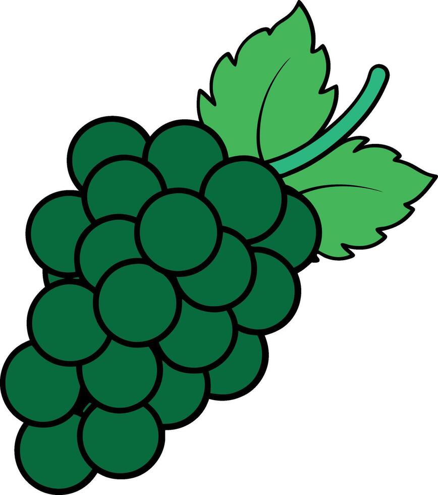 A art simple illustration grape fruit vector