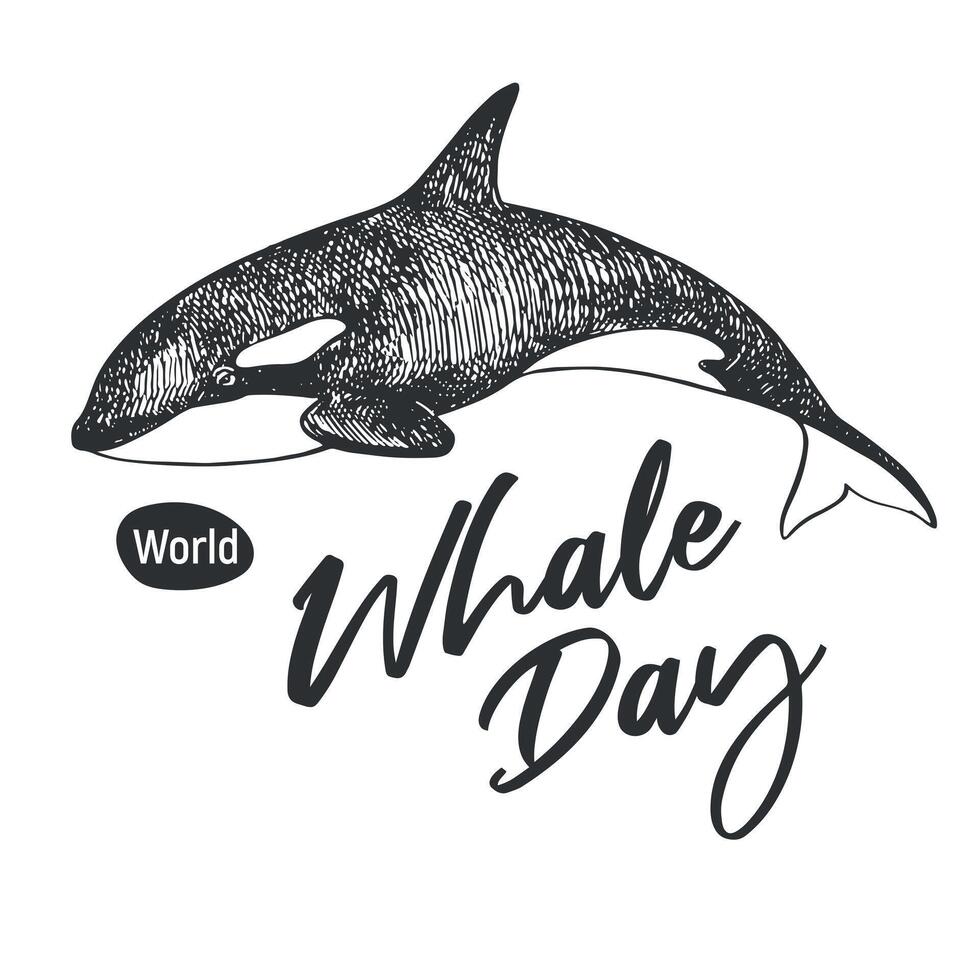 Whale Day emblem, February 19, 2025. linear drawing of killer whale. Concept of global problem of preserving animal diversity in the ocean. Orca design for t-shirt. vector