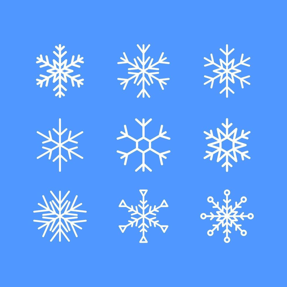 Set of ornamental snowflakes vector