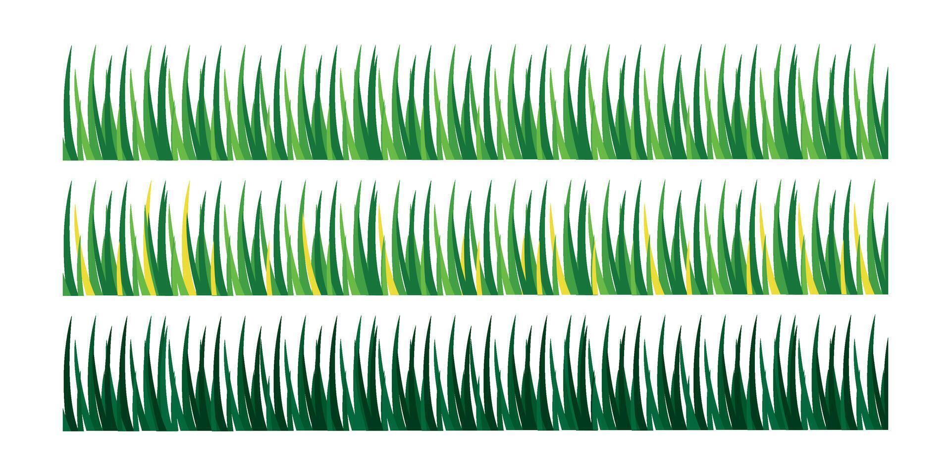 collection of green grass on white background vector