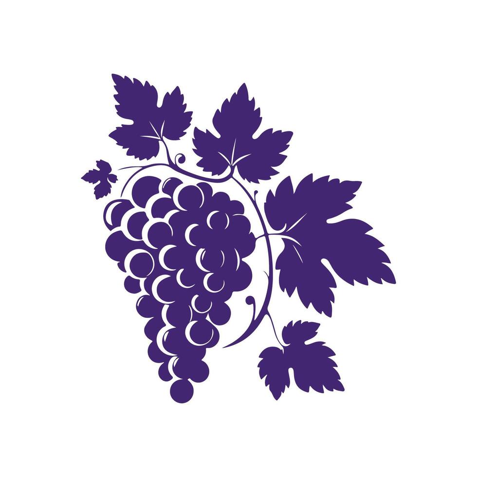 colorful grapes collection hand drawn vector
