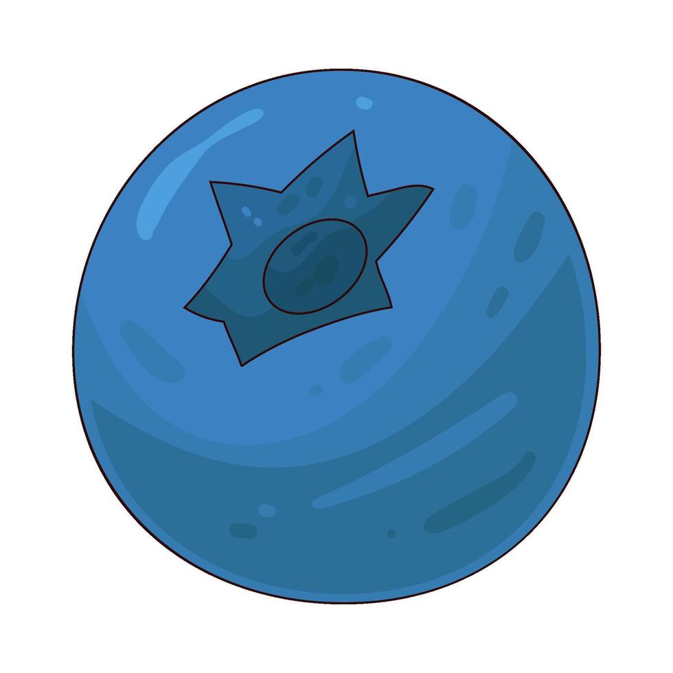 Illustration of blueberry vector