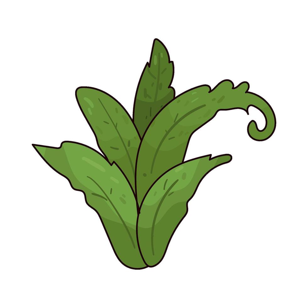 Illustration of plant vector