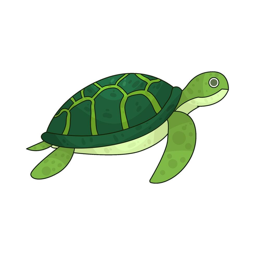 Illustration of turtle vector