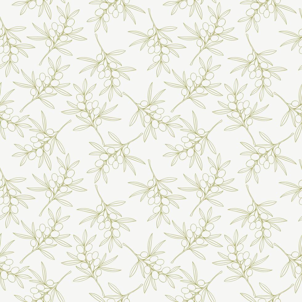 Greek fruit pattern, green outline drawing of an olive branch on white background. vector