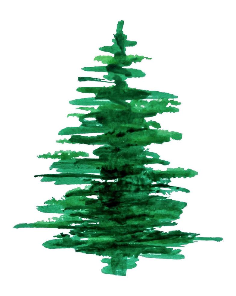 Spruce watercolor tree , handmade green fluffy fir tree. Isolated Christmas design element, New Year celebration, cozy weather concept. For packaging, card, invitation vector