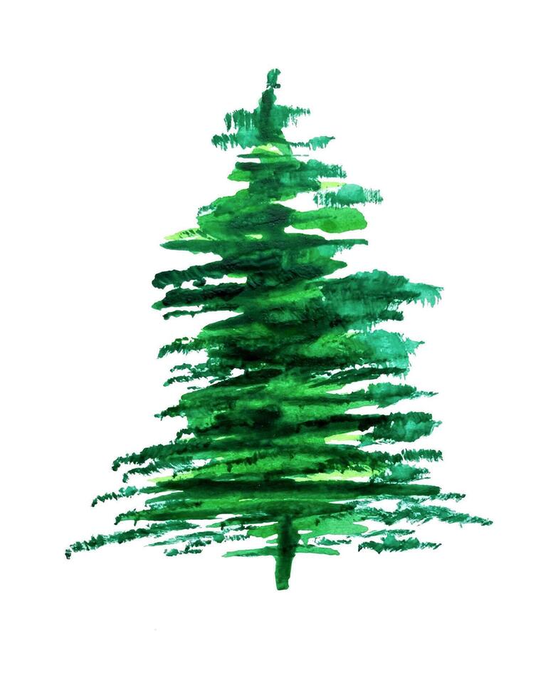 Watercolor spruce tree handmade Green fluffy fir tree. Isolated Christmas design element, New Year celebration, cozy weather concept. For packaging, card, invitation vector