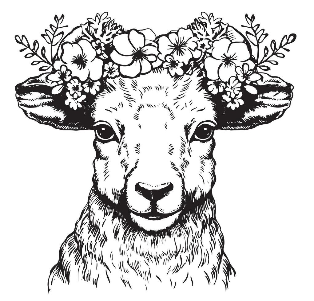 Cute sheep or lamb head engraving style illustration. Realistic image. vector