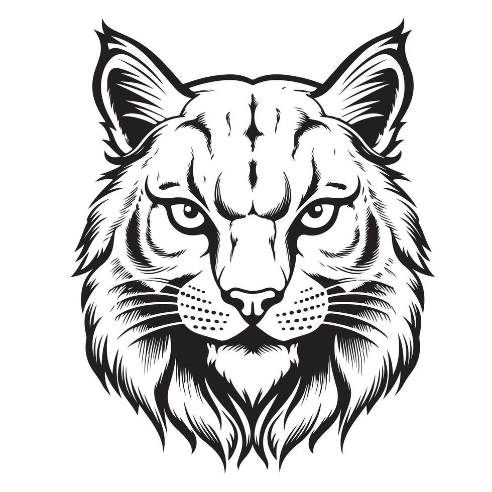 Lynx. Sketch, drawn, graphic portrait of a lynx head on a white background vector