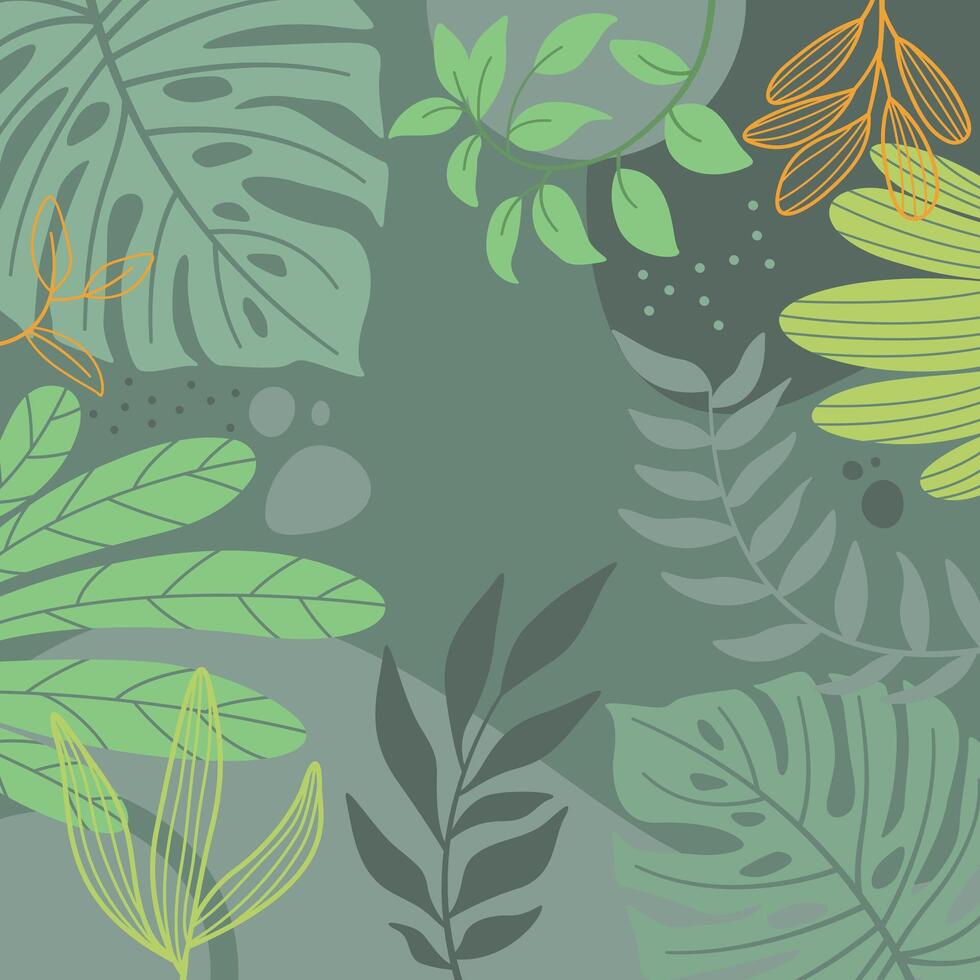 Green spring background with tropical plants. vector