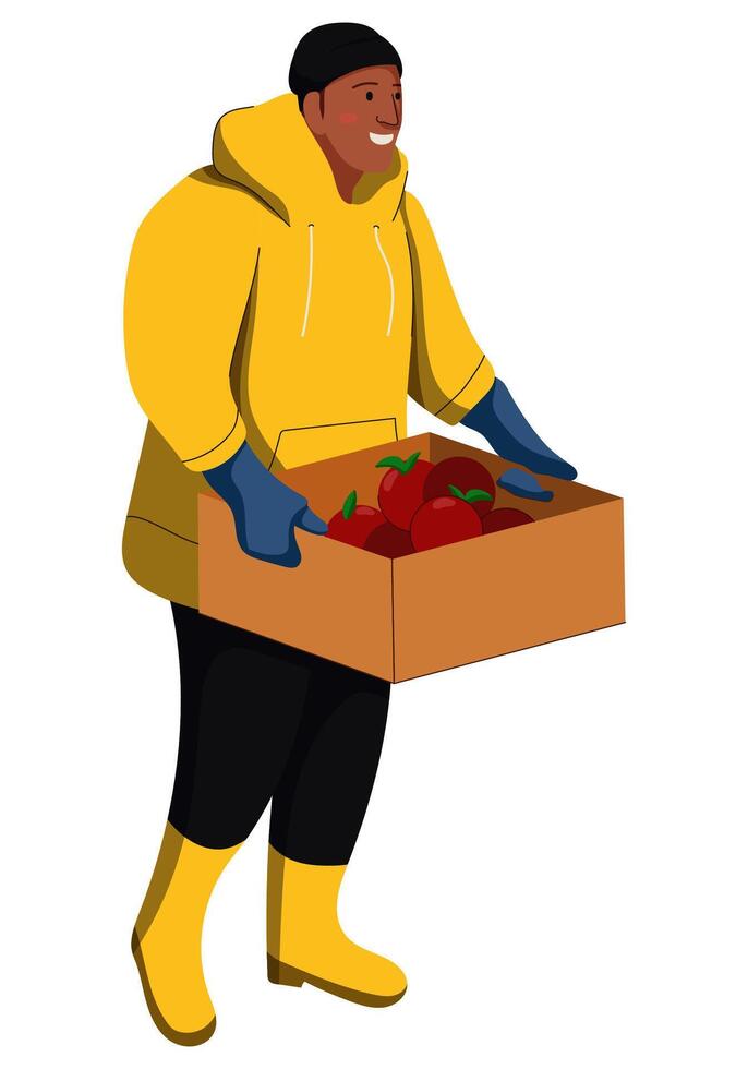 Men Bring Box Of Apple vector
