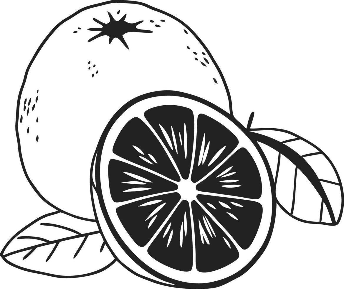 Black and White Orange Slice and Whole Fruit Illustration with Leaves vector