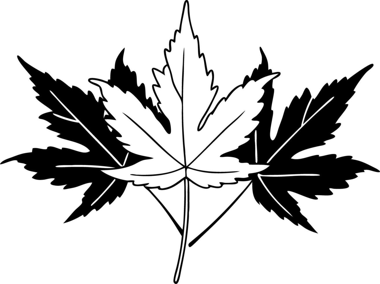Black Silhouette Maple Leaves Illustration Autumn Nature Design vector