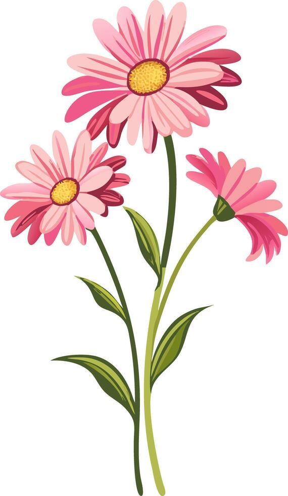 Colorful Pink Daisies Art Floral Design for Botanical Projects vector