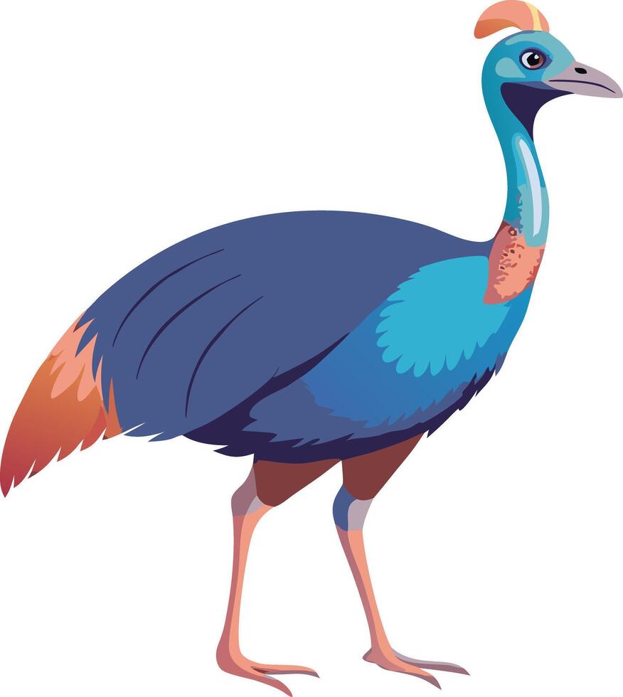 Colorful Illustration of Exotic Cassowary Bird in Profile View vector