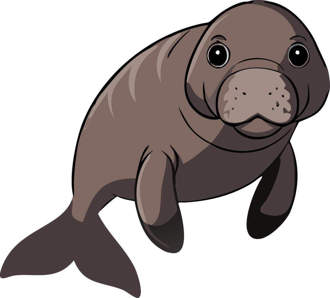 Cute Manatee Illustration Marine Life Design for Educational and Decorative Use vector