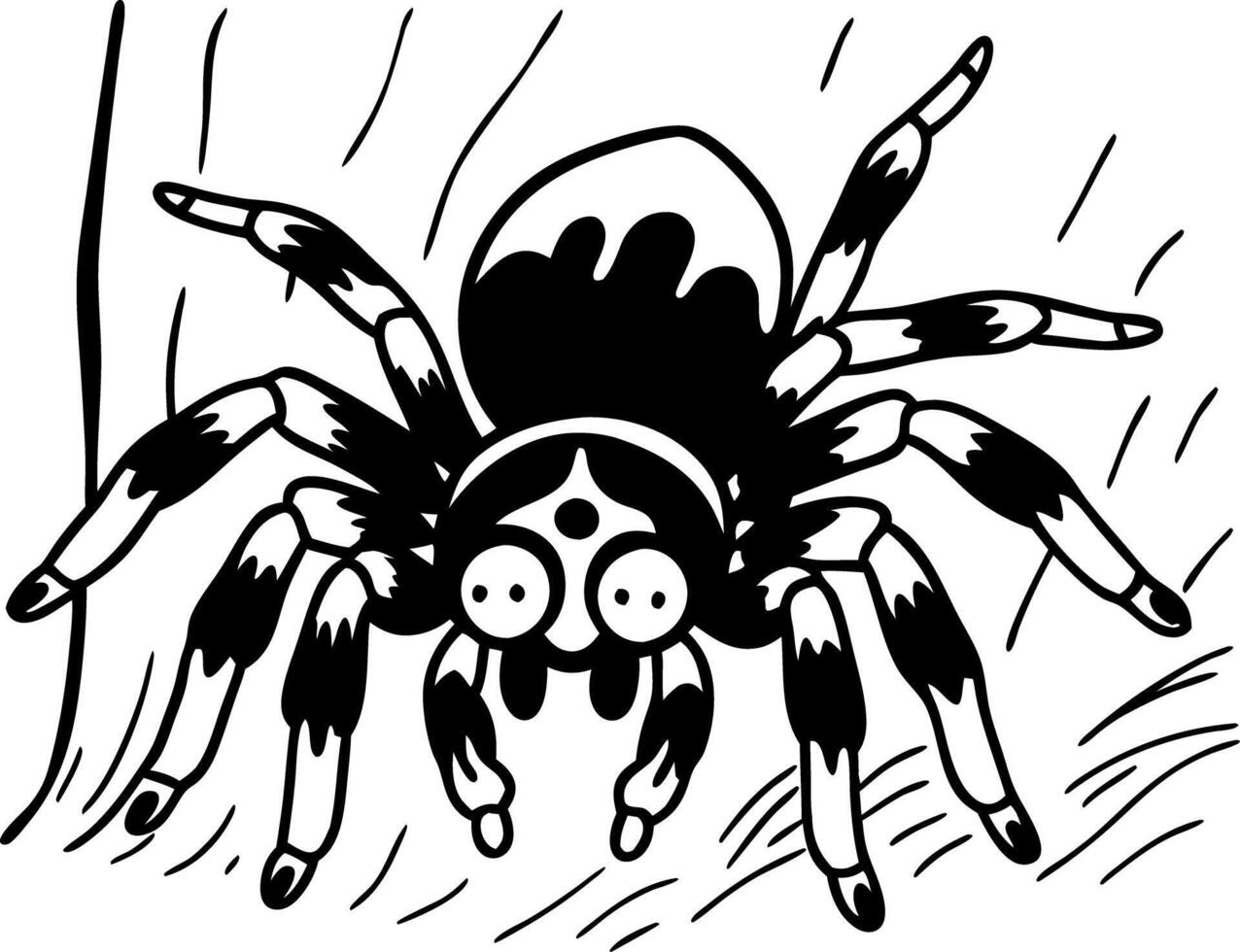 Detailed Black and White Jumping Spider Illustration for Educational Graphics vector