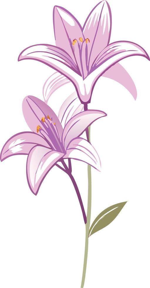 Elegant Pink Lilies Floral Illustration with Delicate Petals and Green Stem vector