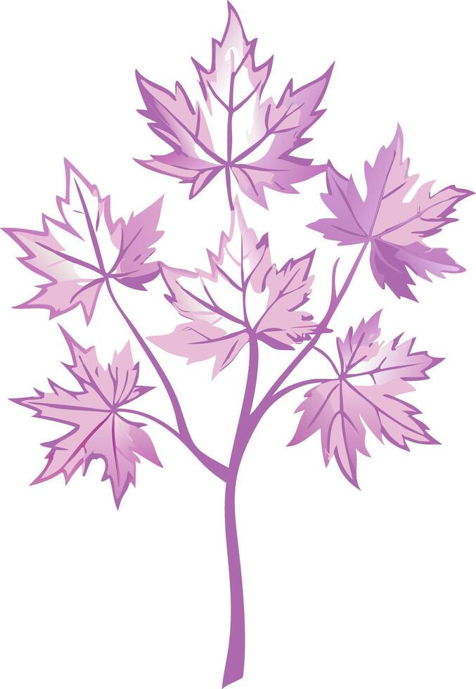 Elegant Pink Maple Leaves Illustration for Floral Design and Decor vector