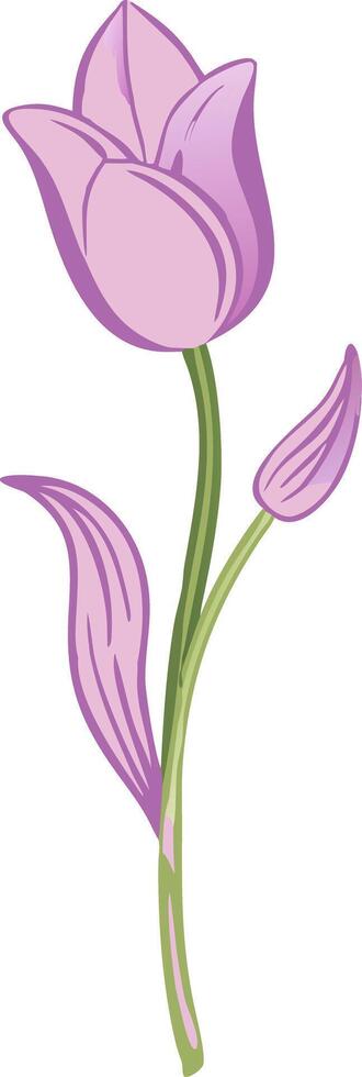 Elegant Pink Tulip Illustration for Floral Design Projects vector