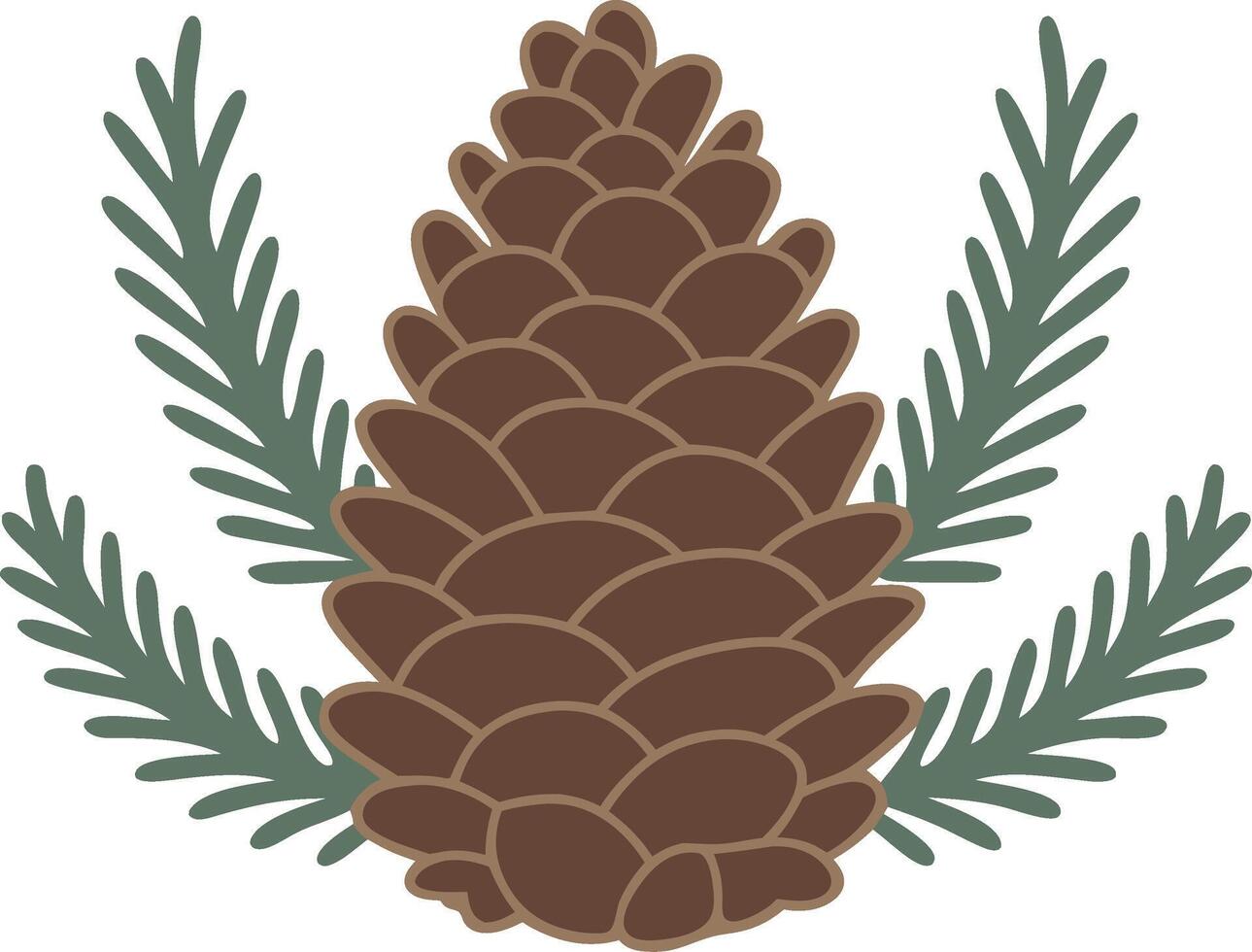 Pine Cone with Evergreen Branches for Nature and Holiday Design vector