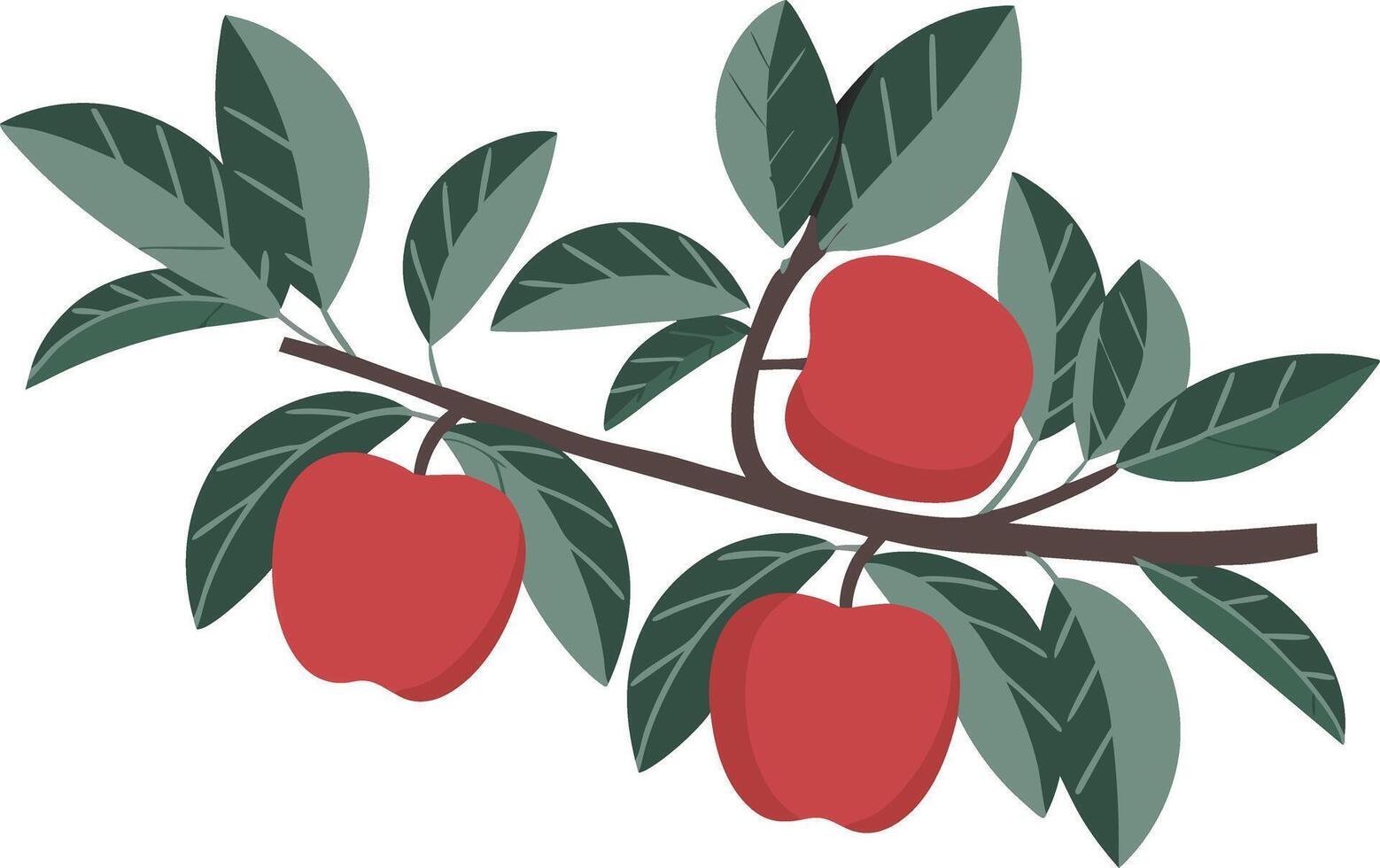 Red Apples on Tree Branch with Lush Green Leaves Illustration vector