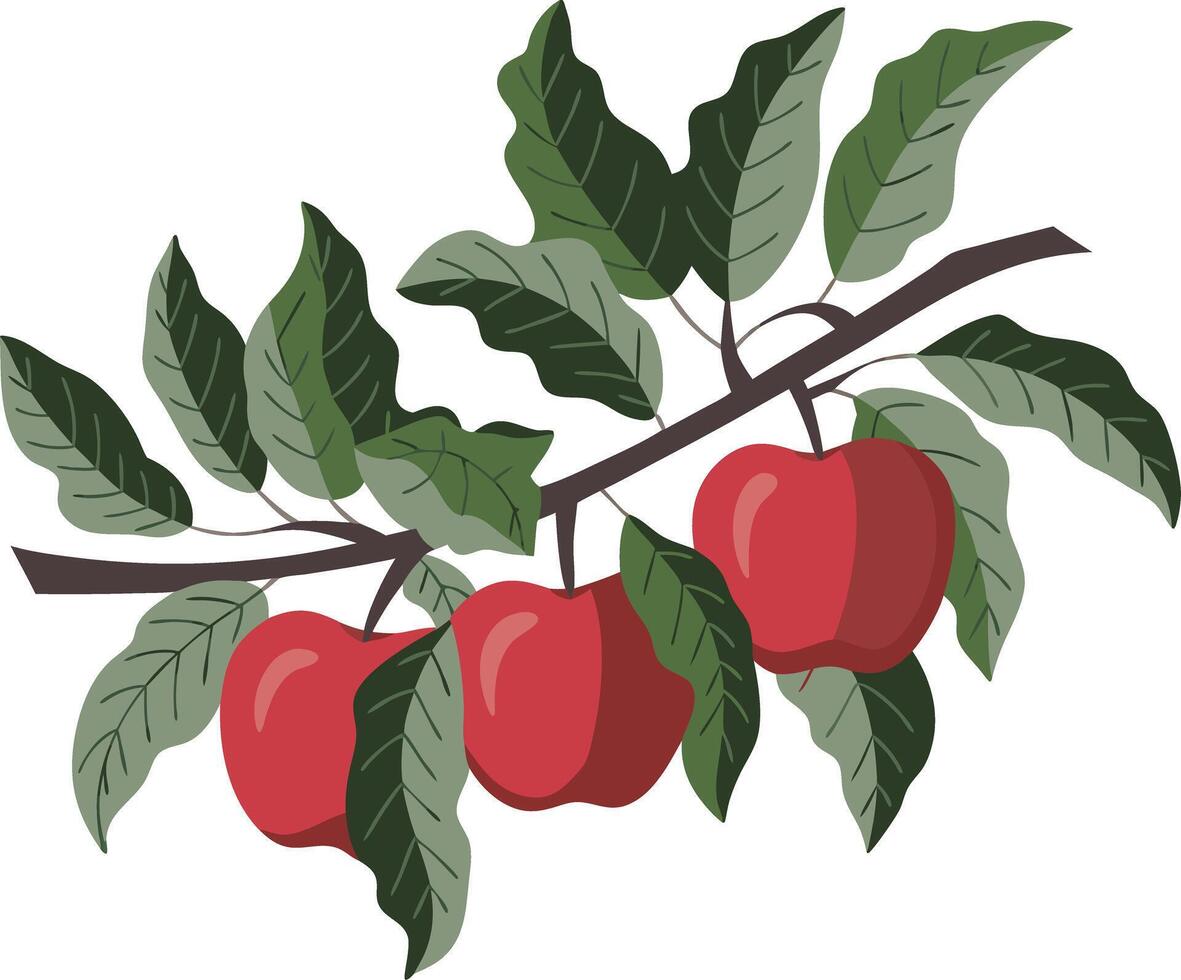 Red Apples on Branch with Green Leaves Illustration vector
