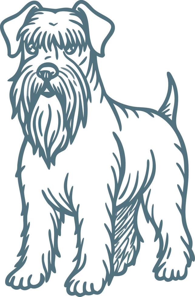 Schnauzer Dog Illustration for Pet and Breed Design Projects vector