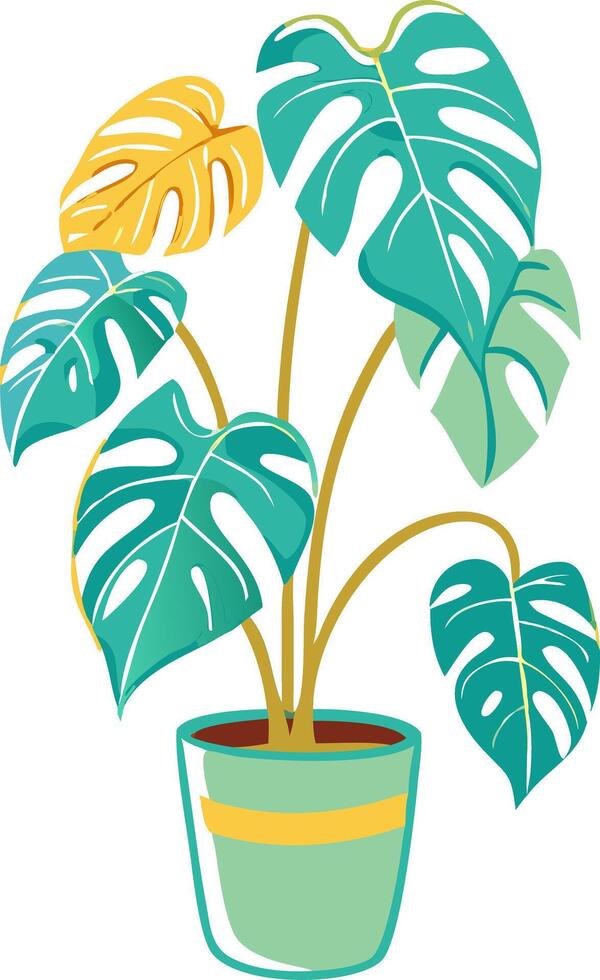 Tropical Monstera Plant in Decorative Pot Illustration for Home Decor vector