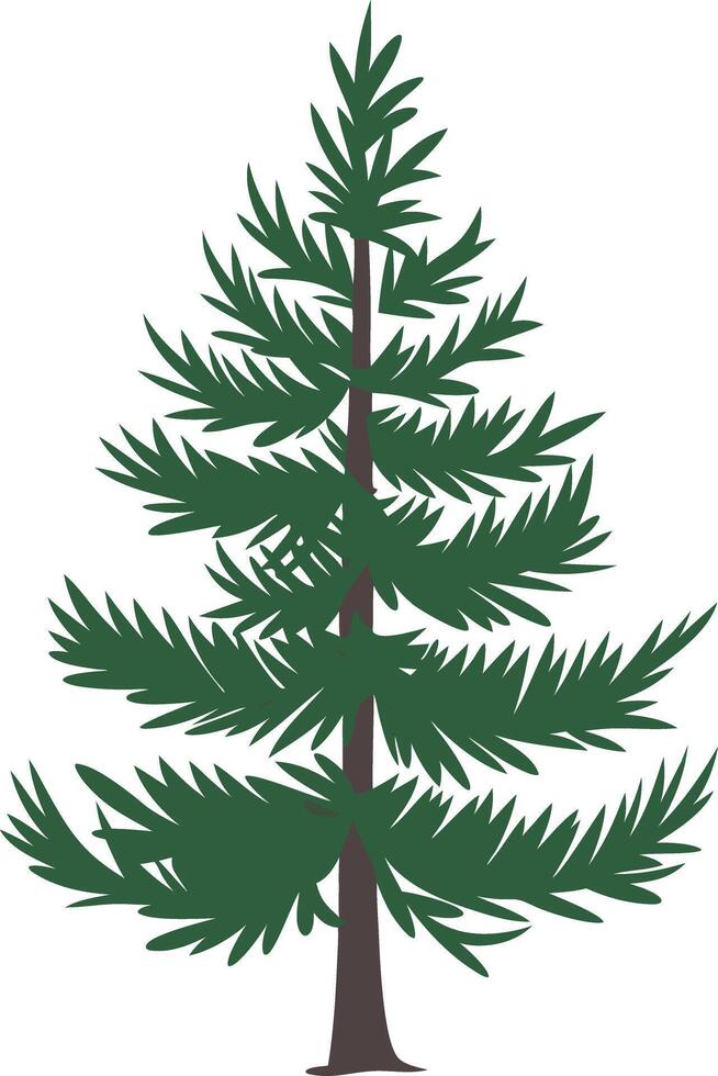 Illustration Evergreen Pine Tree Nature Design vector