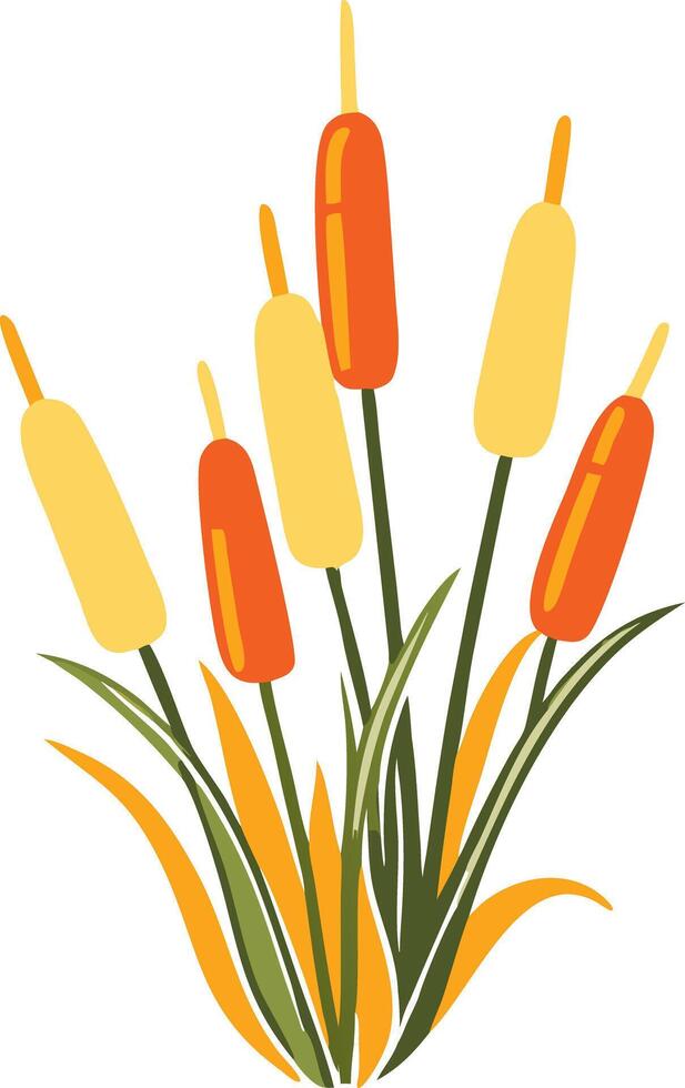 Vibrant Cattail Illustration for Nature and Wetlands Design vector