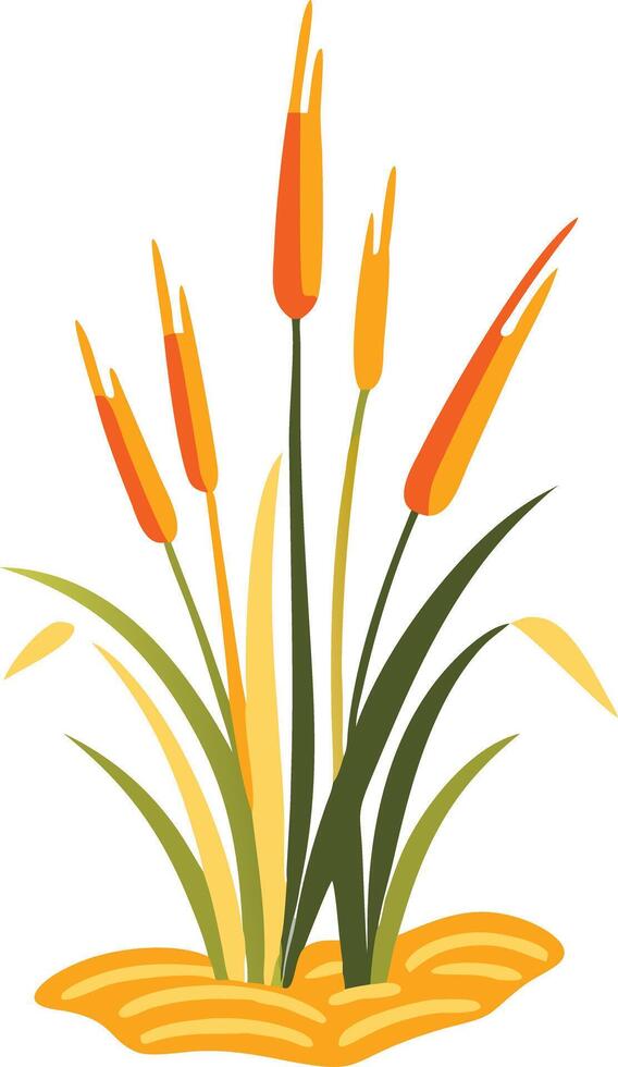 Vibrant Cattail Illustration of Aquatic Plant Design vector