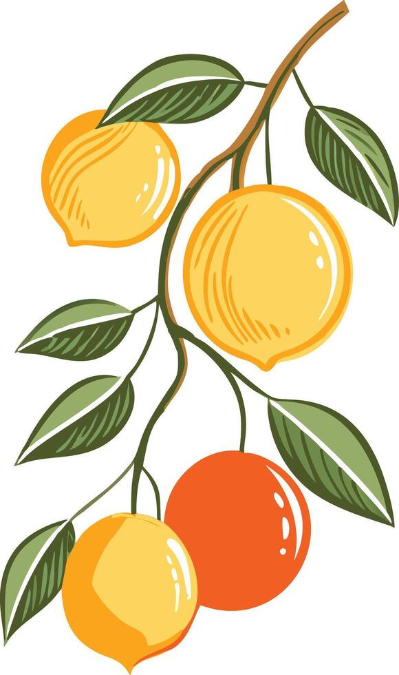 Vibrant Citrus Branch Illustration with Lemons and Orange Fruit vector