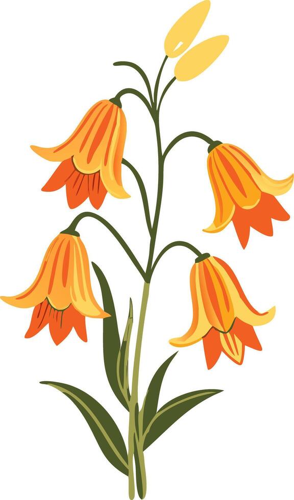 Vibrant Orange Bell Flowers Botanical Illustration for Nature Design vector