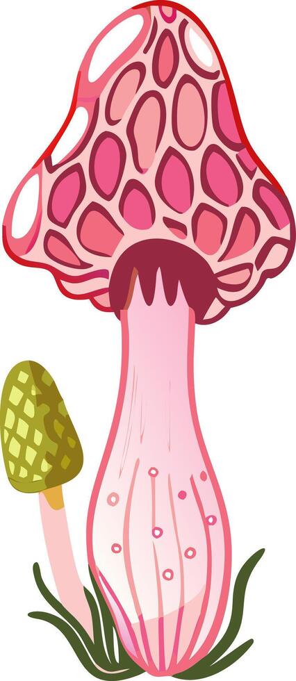 Vibrant Pink and Yellow Mushrooms for Botanical Designs and Art Projects vector
