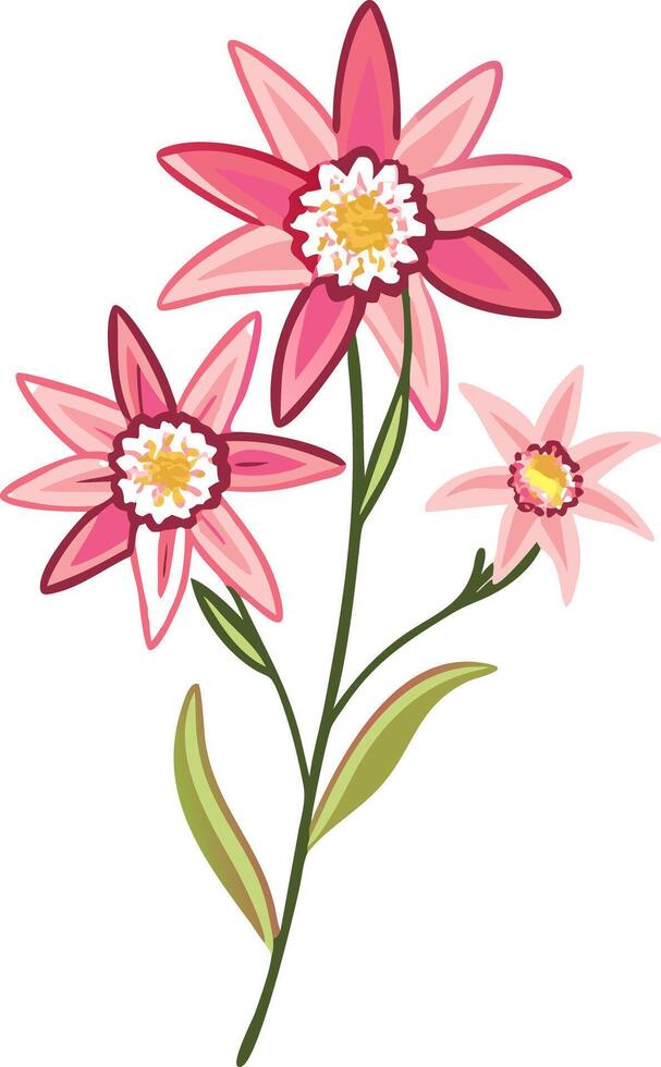 Vibrant Pink and Red Floral Illustration for Design and Decoration vector