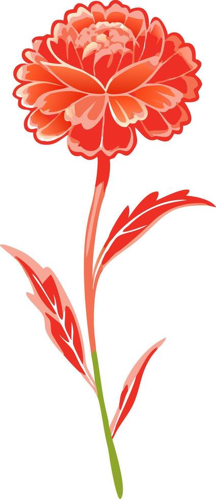 Vibrant Red Marigold Illustration for Design and Decorative Use vector