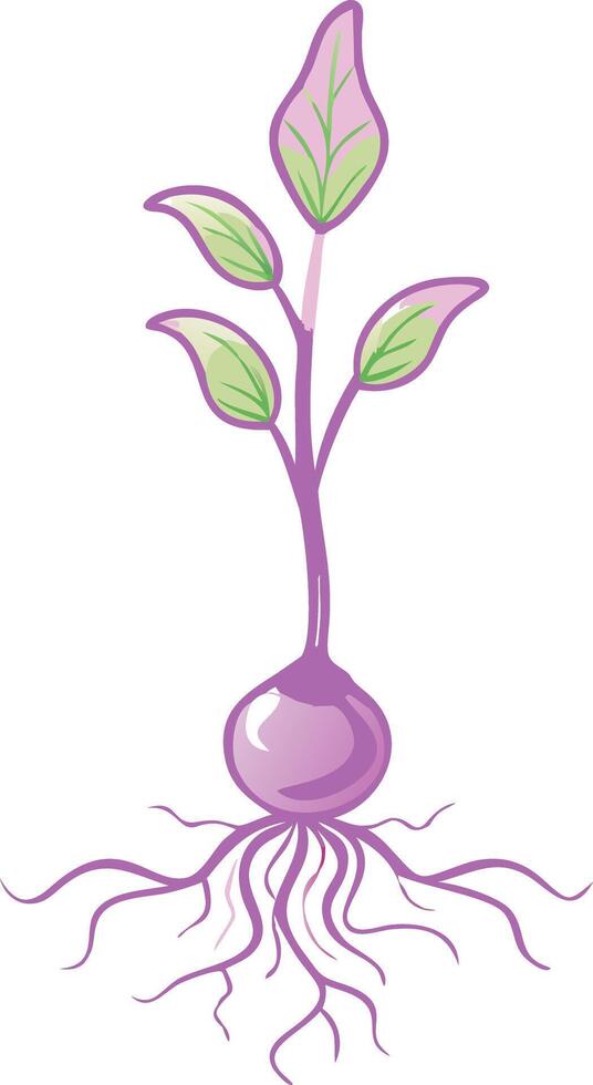 Vibrant Seedling with Roots and Leaves Illustration vector